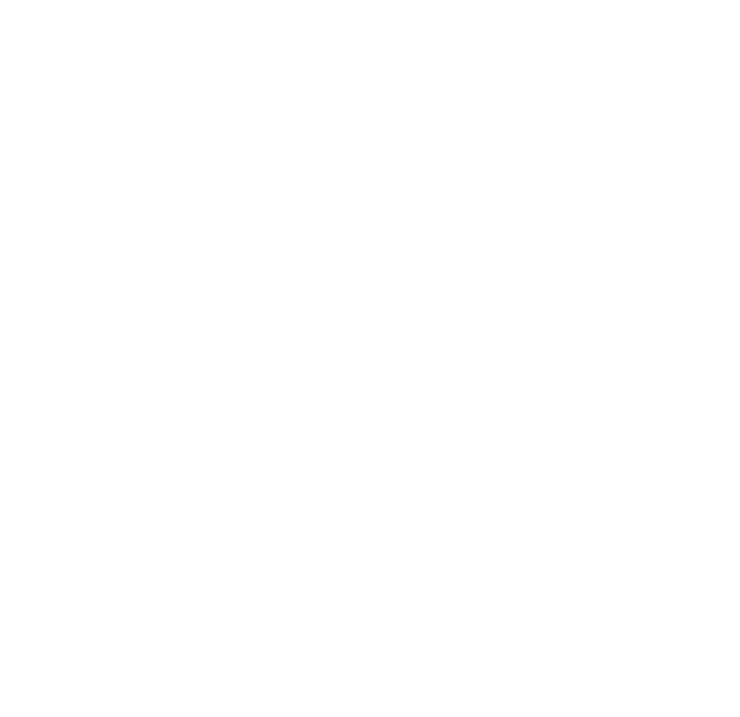 Flight Digital Solutions